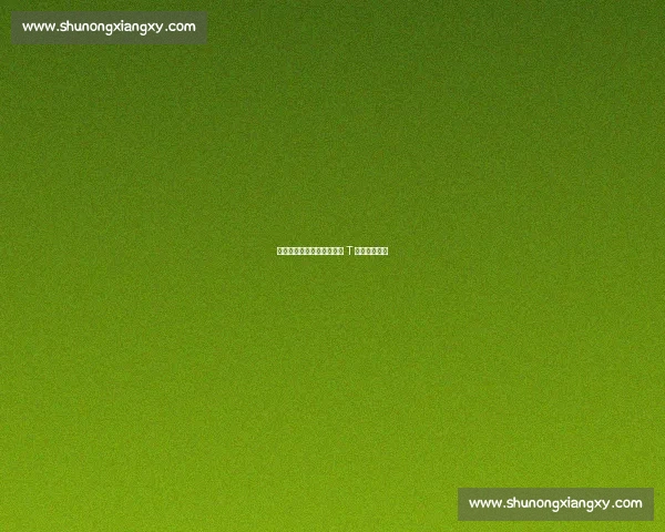 巡霄机器人献花胡兵:科技 T 台的暖心交互 巡霄机器人献花胡兵:科技 T 台的暖心交互