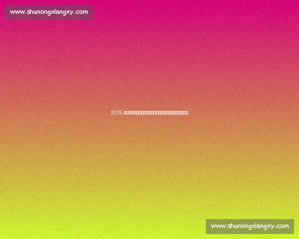 2025 冠军之夜：塞纳朋克史诗对决，索罗、科迪、杰德加冕新王