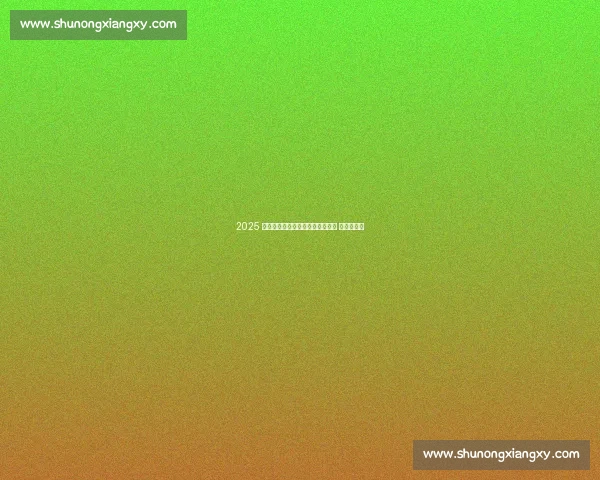 2025 中俄跨境马拉松开跑：一桥连两国 奔跑赴友约