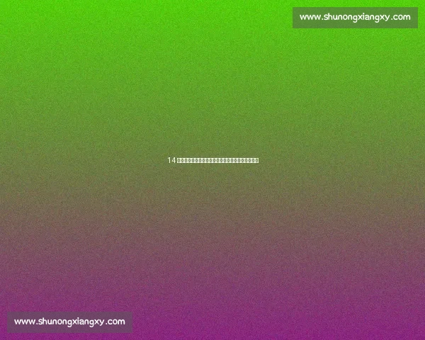 14 号风暴：迪亚斯、约克雷斯与拉什福德的新时代对决