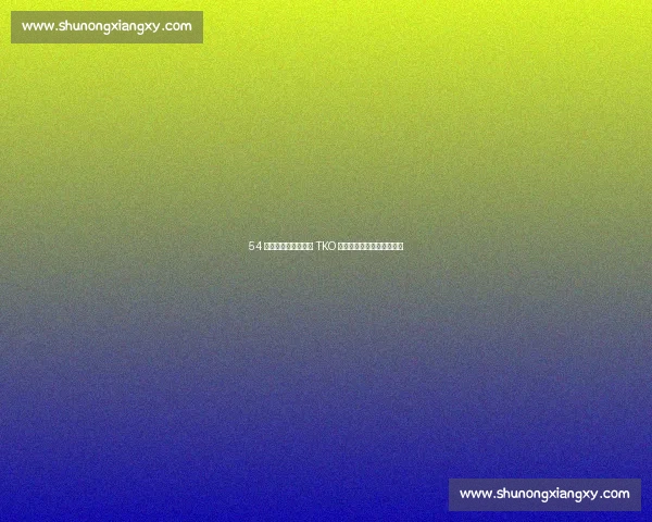 54 秒闪电终结！里纳特 TKO 传奇古斯塔夫森震撼八角笼