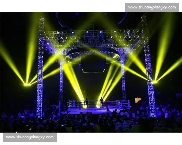 以卡哈比vs巅峰对决为核心解析格斗传奇与时代碰撞背后的荣耀与宿命