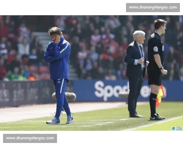 热火鏖战山猫全场回顾精彩对决尽显球队拼搏精神