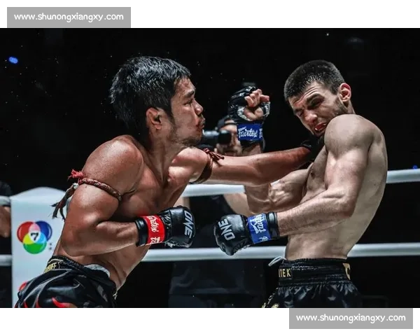 少林功夫对决泰拳铁肘重膝的巅峰武道文化碰撞传奇