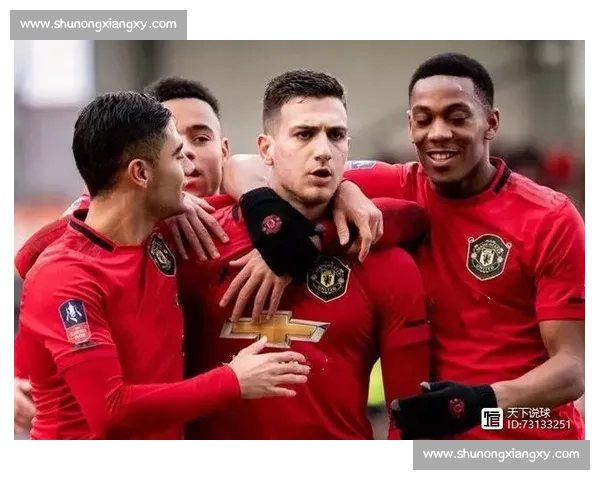 新西兰对阵澳大利亚强强对话引爆南太平洋焦点之战国家荣誉巅峰较量