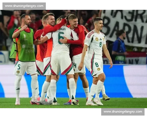 匈牙利对阵爱沙尼亚比赛前瞻实力走势与关键看点解析战术博弈全景解读