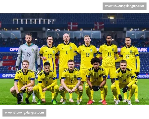 瑞典对阵法国比赛结果引发欧洲足坛高度关注再起讨论