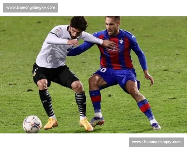 西甲焦点战埃瓦尔主场迎战卡迪斯争夺关键三分前景解析走势预测看