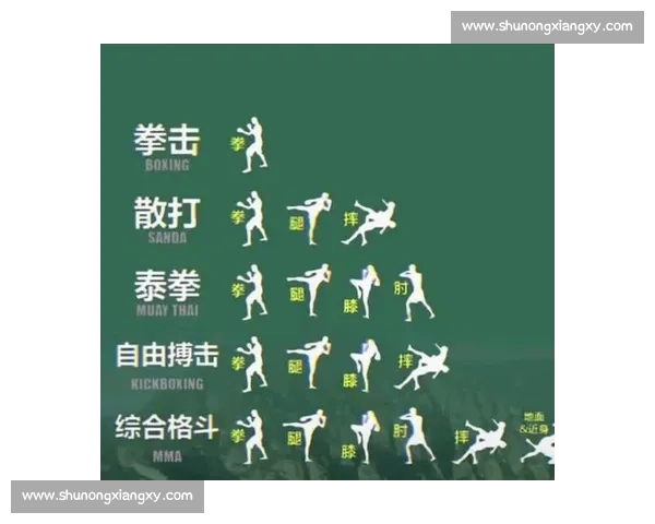 中国传统功夫对决职业泰拳规则技术与实战胜负之争全面解析格斗理念碰撞